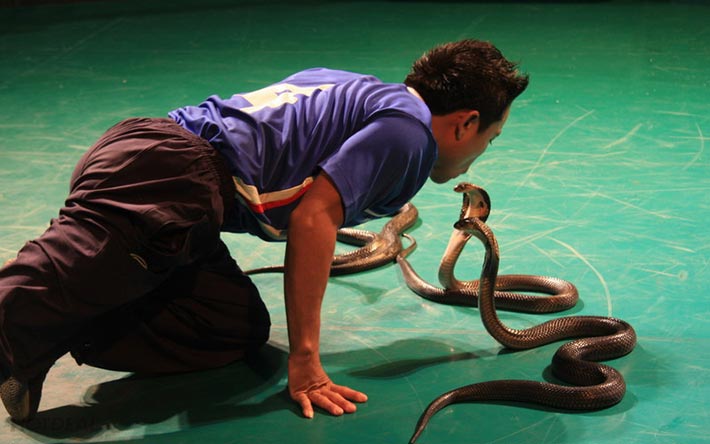 Tour Thái Lan - Bangkok - Pattaya 5N4Đ – Alcazar Show ...